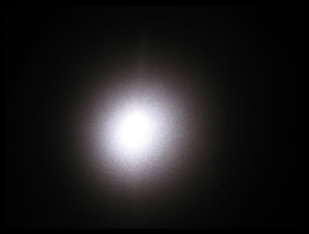 50020.jpg