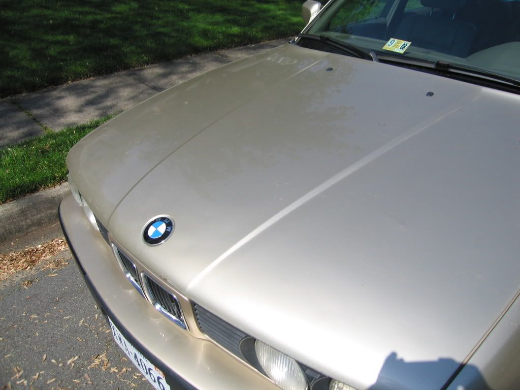 740003-1.jpg