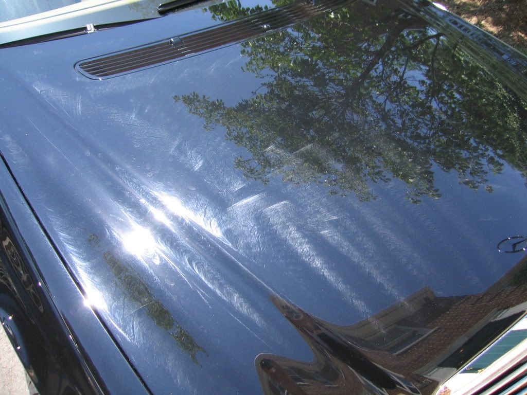 e550003.jpg