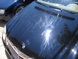 e550004-1.jpg