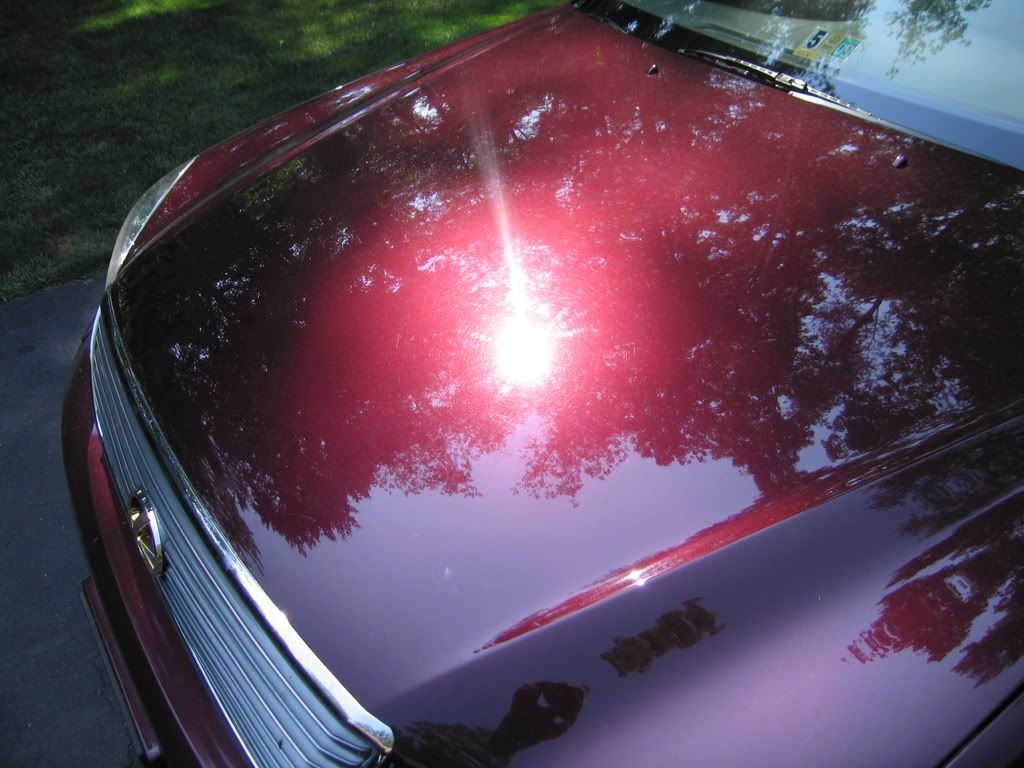 ls430002.jpg
