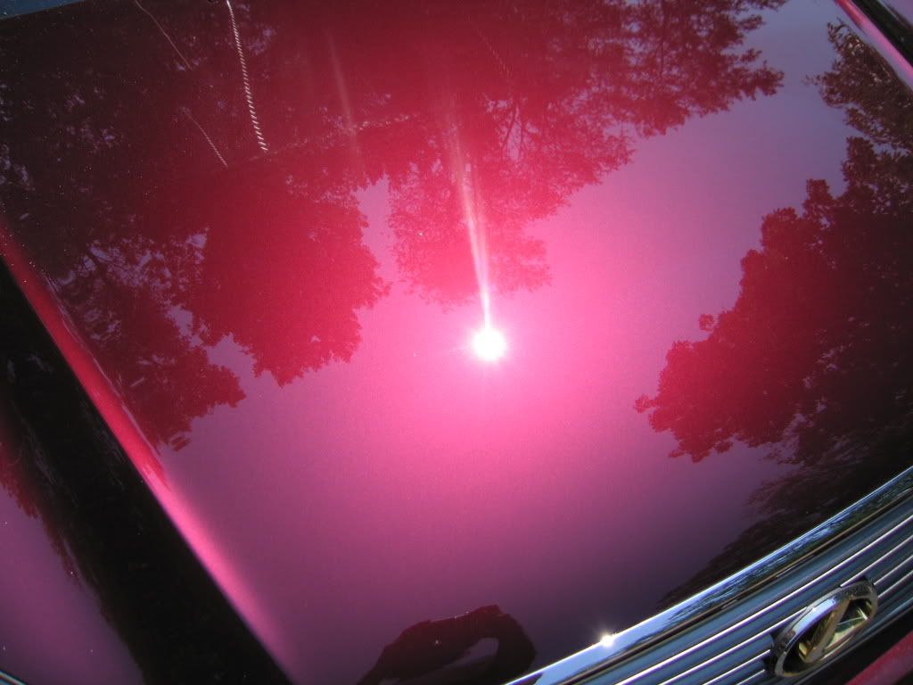 ls430010.jpg