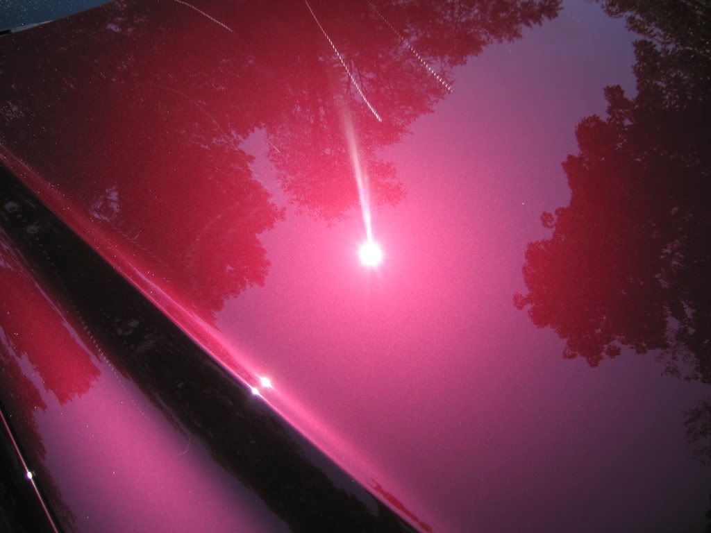 ls430011.jpg