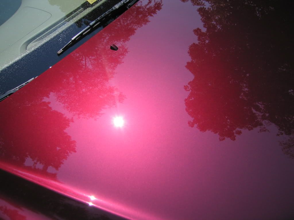 ls430012.jpg