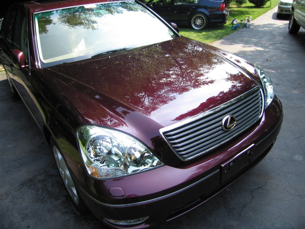 ls430015.jpg