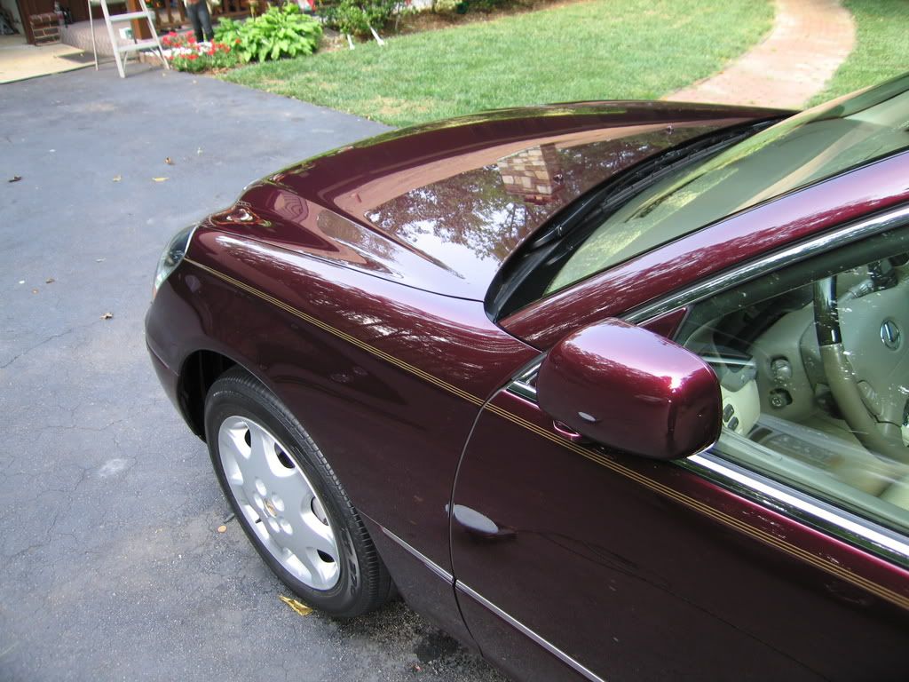 ls430021.jpg