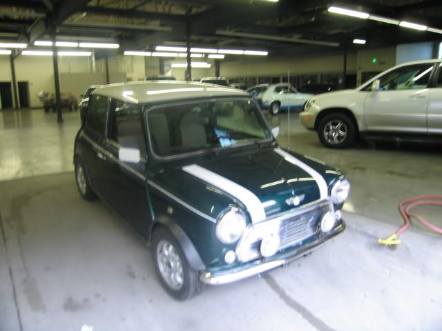 1995MINI004.jpg