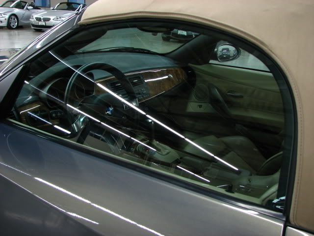 2009z4014.jpg