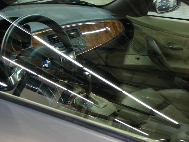 2009z4015.jpg