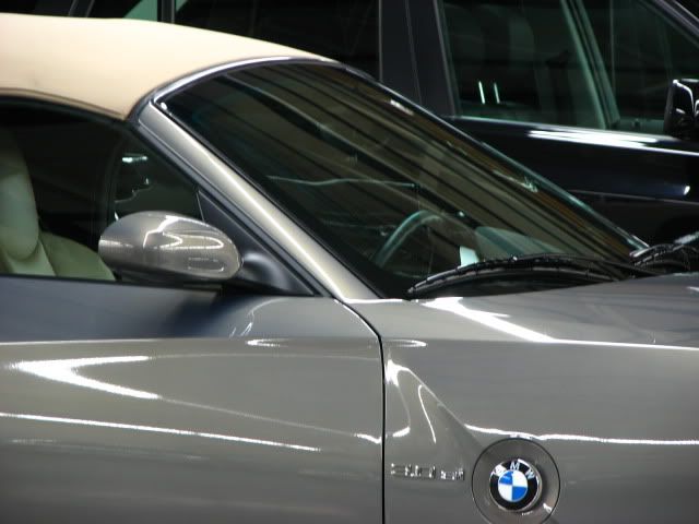 2009z4018.jpg