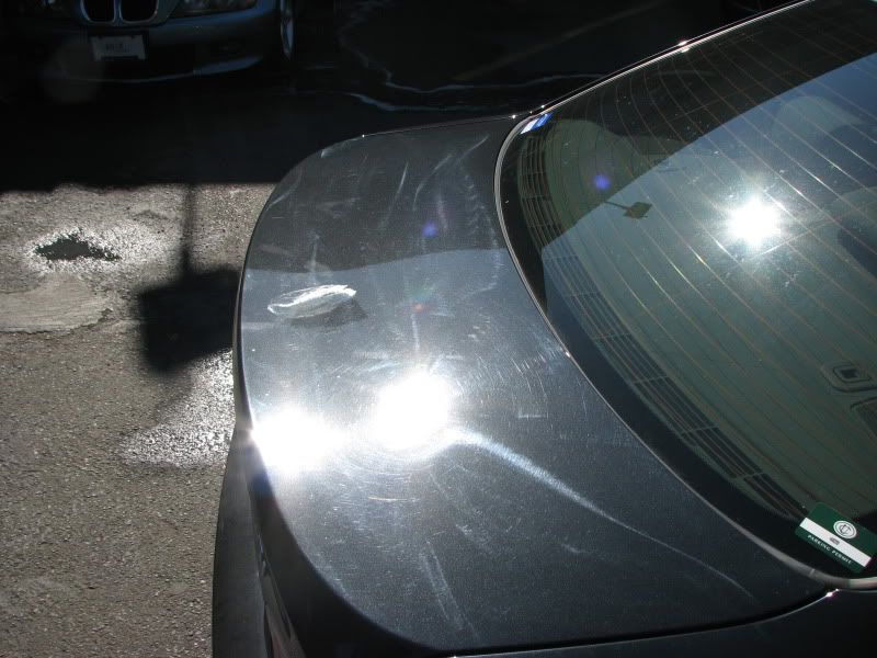 2010newlocation049.jpg