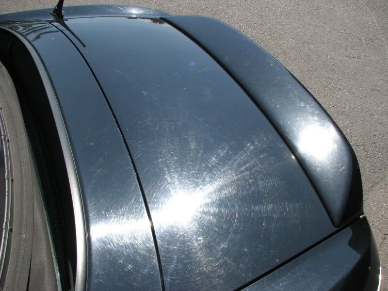2010newlocation178.jpg