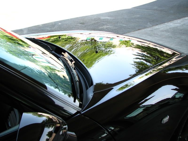 2010newlocation186-1.jpg