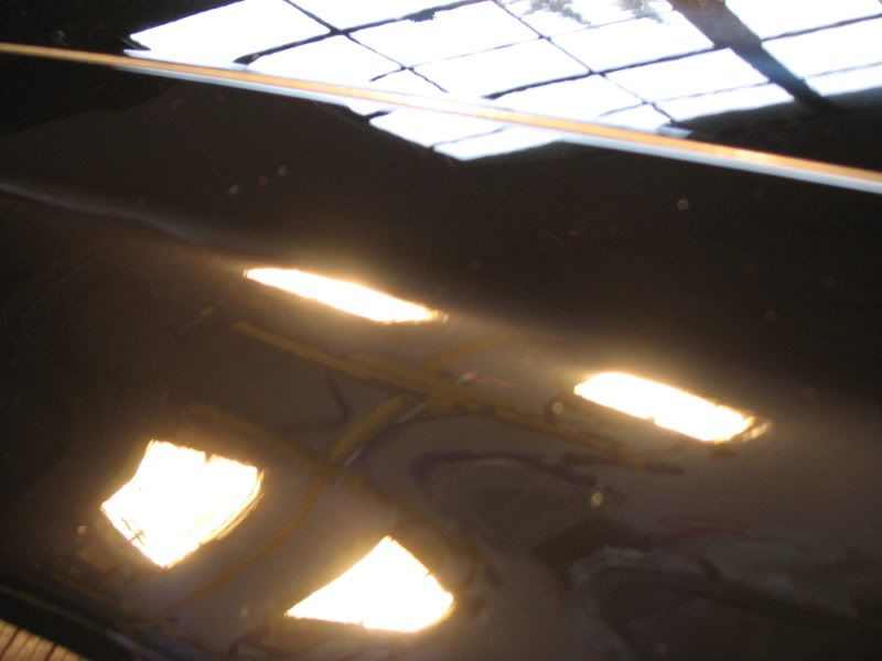 IMG_6766.jpg