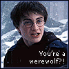 WerewolfRemus.gif