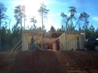 At Last............. - Homesteading Questions