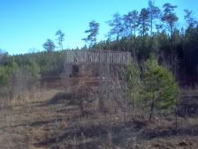 At Last............. - Homesteading Questions