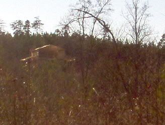 At Last............. - Homesteading Questions