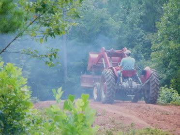 We have narrowed the tractor search down.... - Homesteading Questions