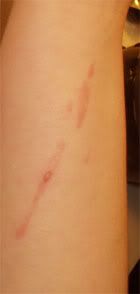 Look at that splatter patter!