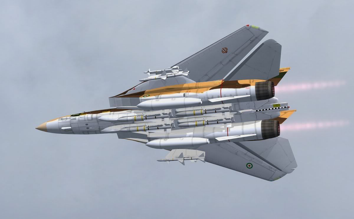 Alicat-11.jpg