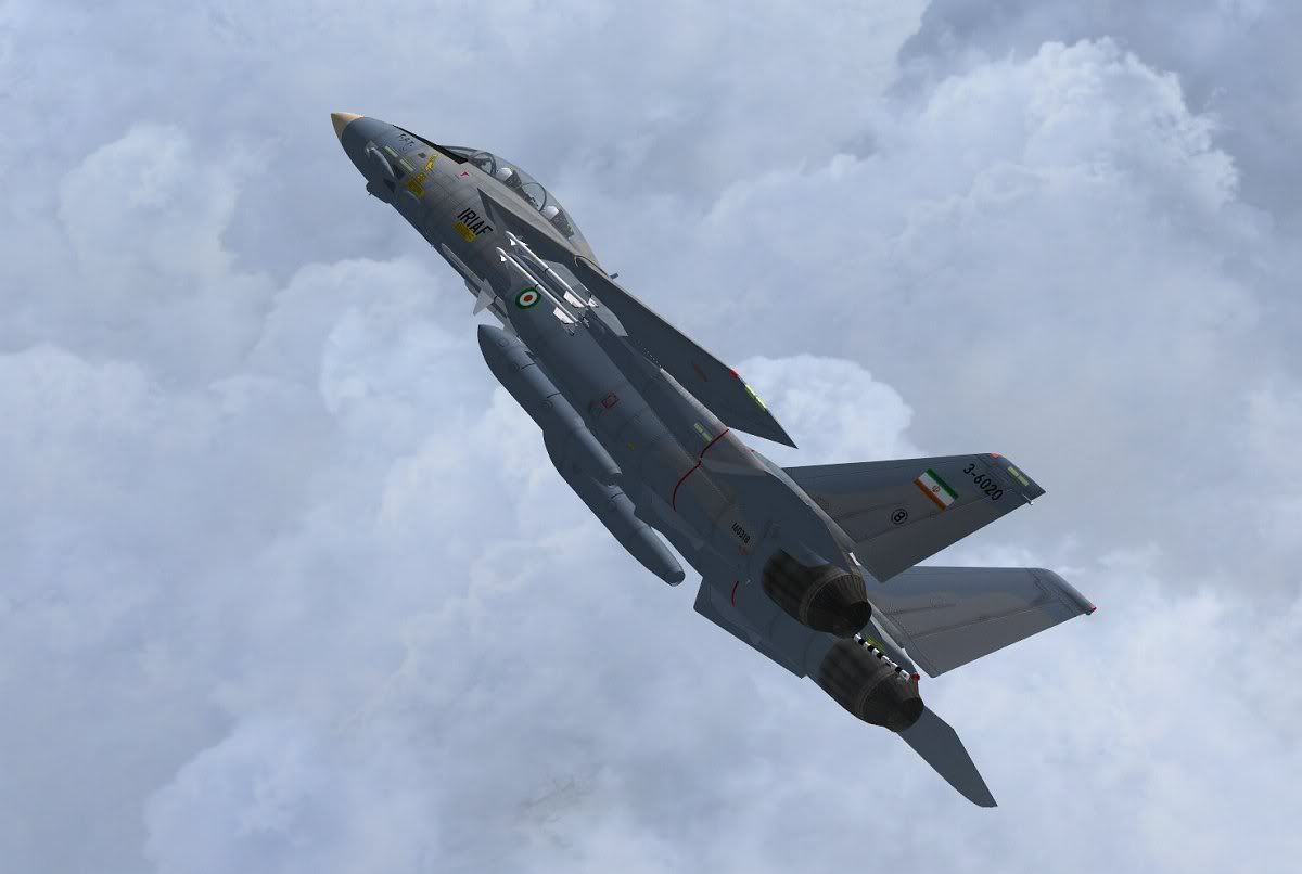 Alicat-17.jpg