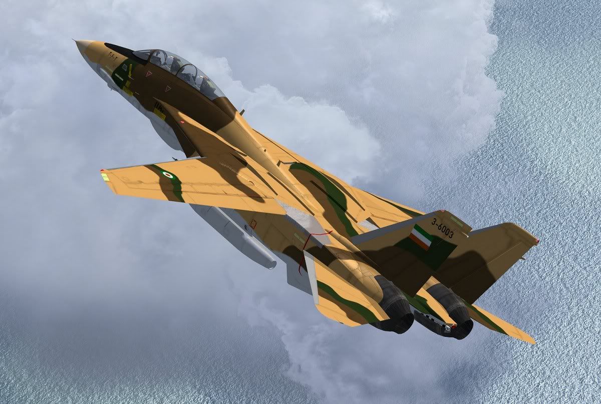 Alicat-7.jpg