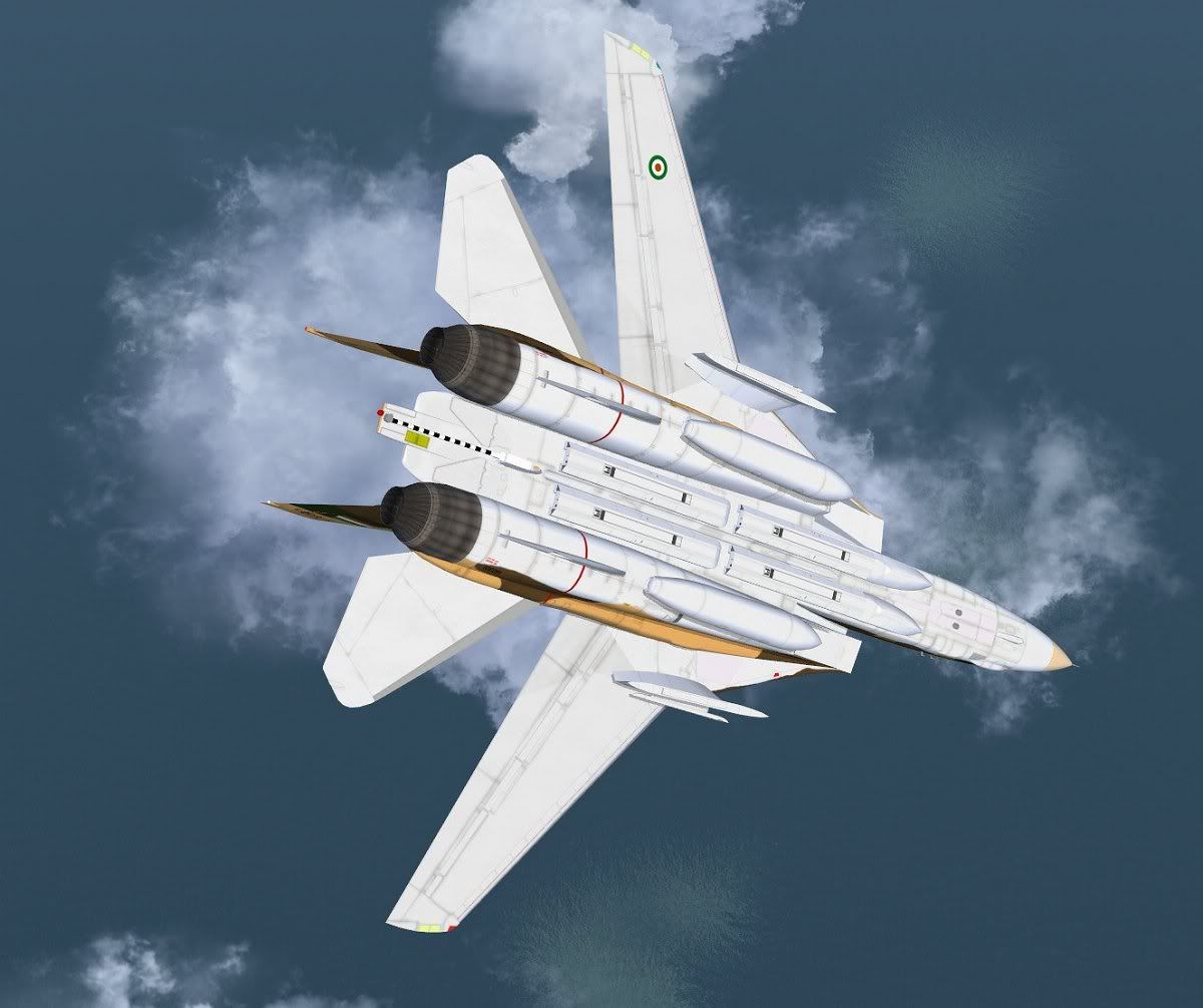 Alicat-8.jpg