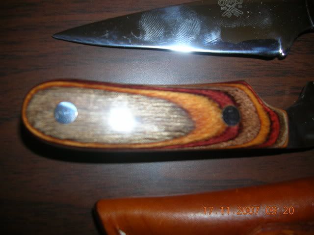 DSCN0687.jpg