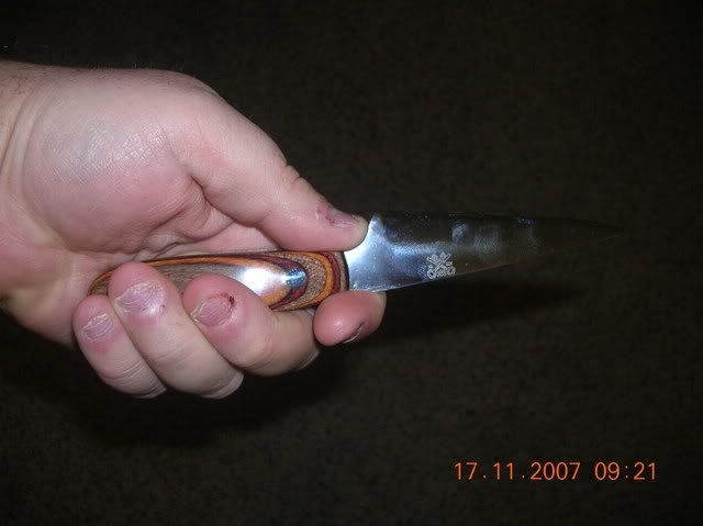 DSCN0689.jpg