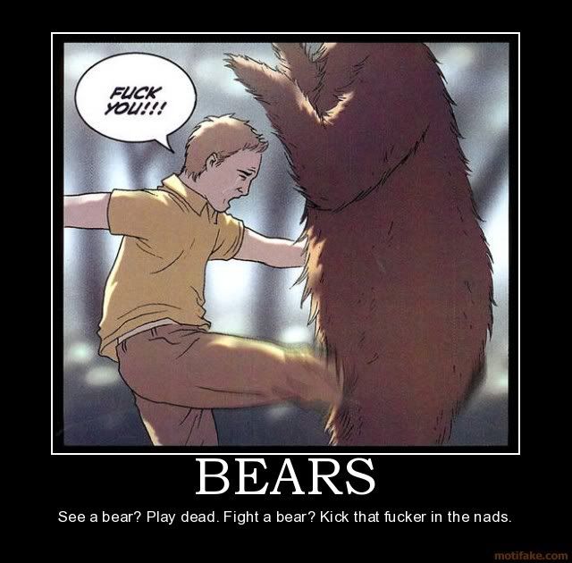 Poster-Bears.jpg