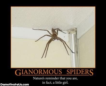 Poster-GianormousSpiders.jpg