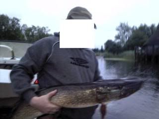 pike.jpg