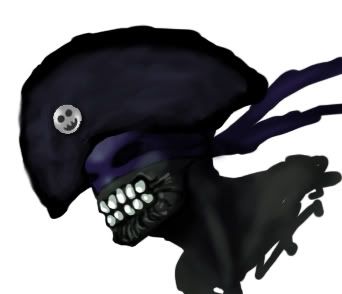 piratehat.jpg