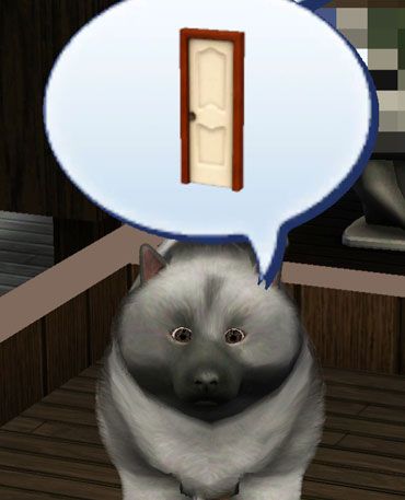 dogdoor.jpg
