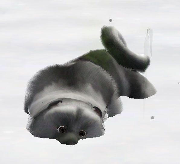 dogsnow.jpg