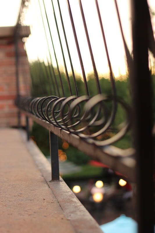 IMAGE: http://img.photobucket.com/albums/v217/maidmarian4/IMG_2113.jpg