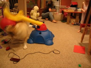 Image hosted by Photobucket.com