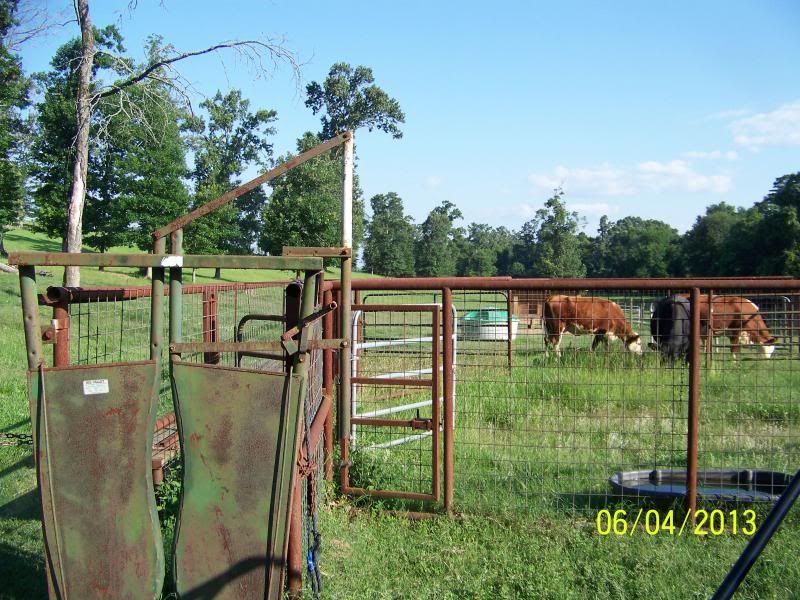 One+Man+Cattle+Chutes One Man Cattle Chutes http://www.cattletoday.com/forum/viewtopic.php?f ...