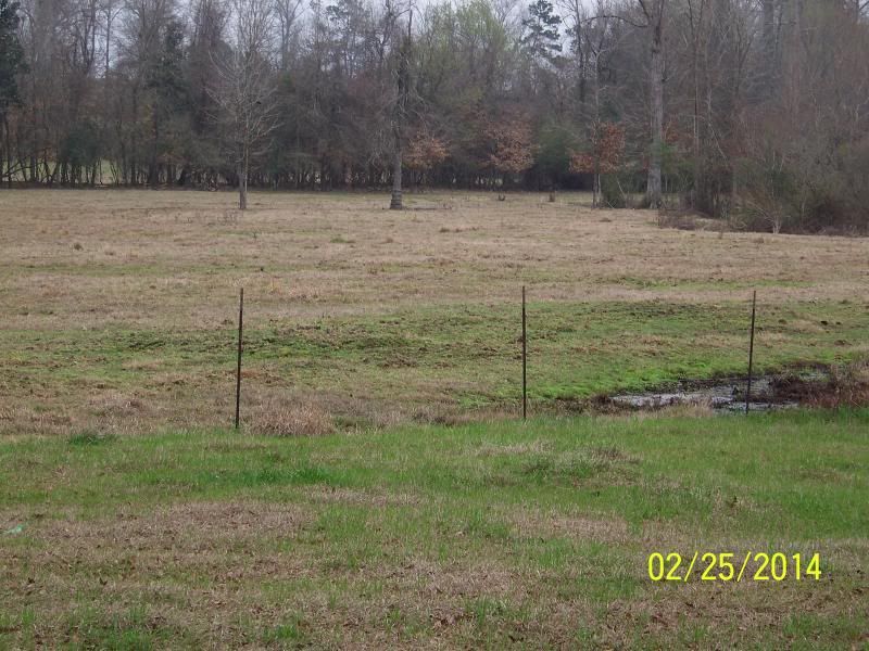 Homemade pasture drag Cattle, Cow & Ranching Community