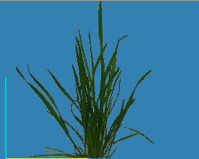 img.photobucket.com/albums/v218/DREVILTAG/Grasstut12.jpg