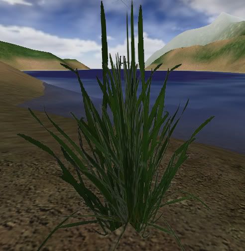 img.photobucket.com/albums/v218/DREVILTAG/grass001.jpg