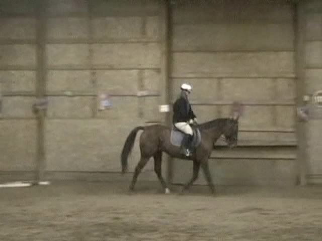 Starting to look good..