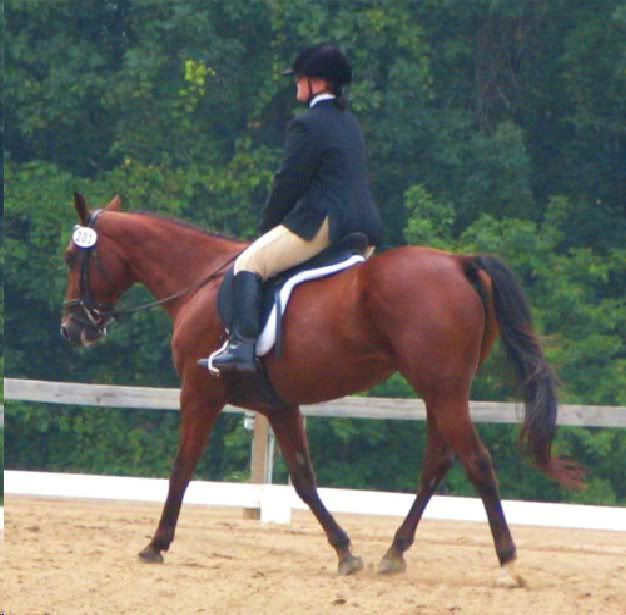 2004 Dressage
