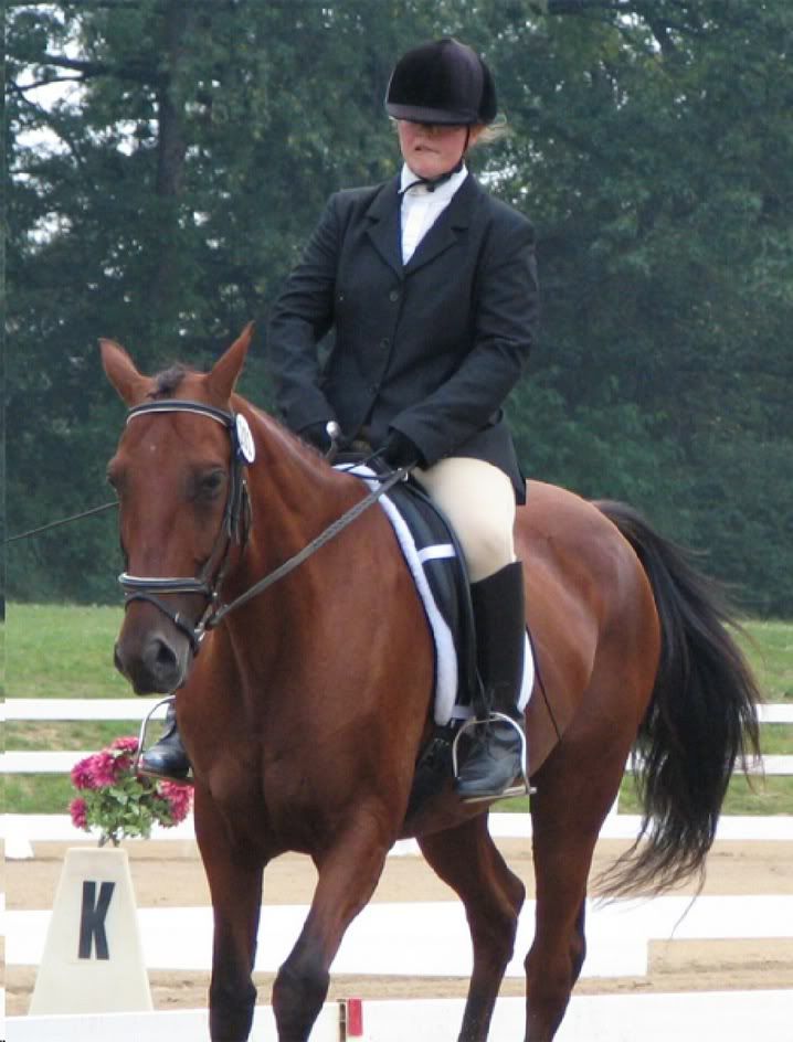 More '04 Dressage