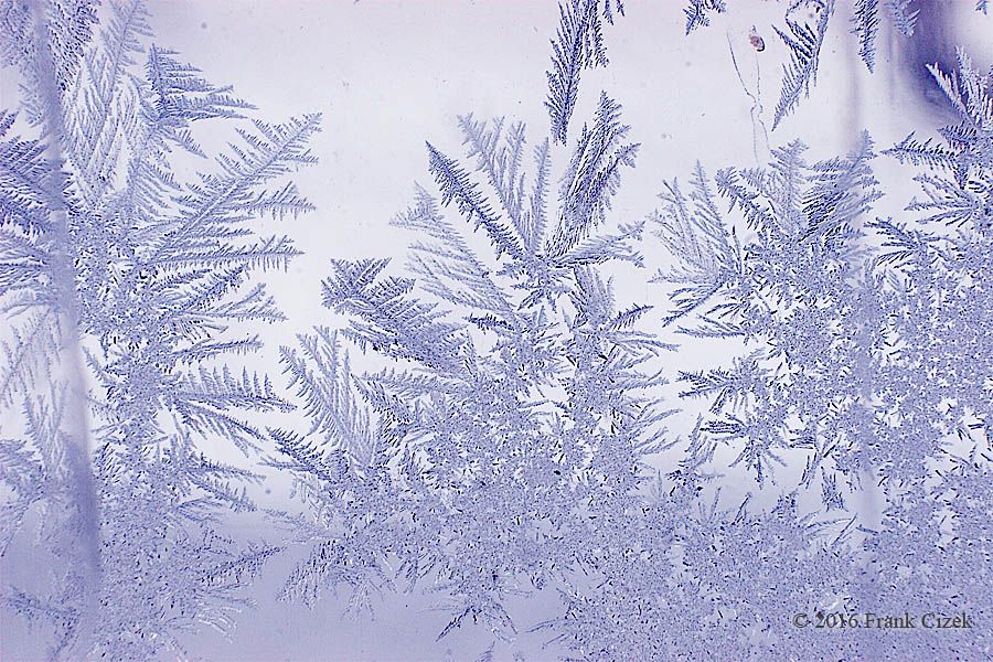 IMAGE: http://img.photobucket.com/albums/v218/PhotosGuy/2016/Frost-Trees_0313.jpg 