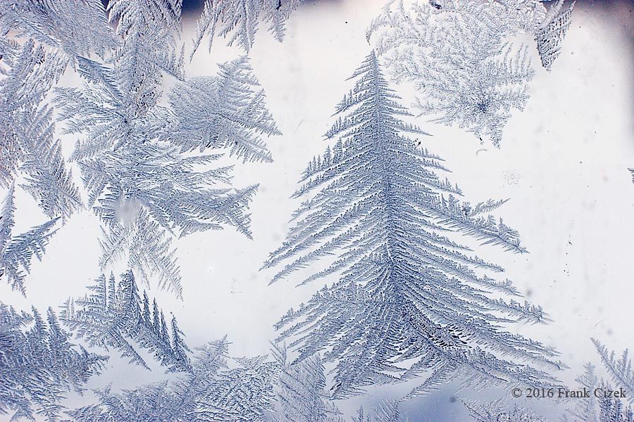 IMAGE: http://img.photobucket.com/albums/v218/PhotosGuy/2016/Frost-Trees_0325.jpg 