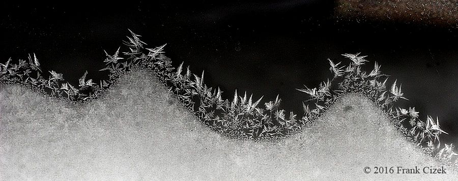 IMAGE: http://img.photobucket.com/albums/v218/PhotosGuy/2016/Frost_1-17-16_0343.jpg