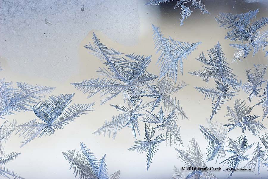 IMAGE: http://img.photobucket.com/albums/v218/PhotosGuy/2016/Frost_1-17-16_350.jpg 