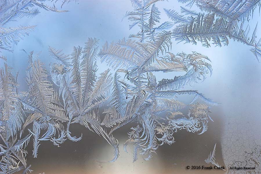 IMAGE: http://img.photobucket.com/albums/v218/PhotosGuy/2016/Frost_1-17-16_351.jpg 